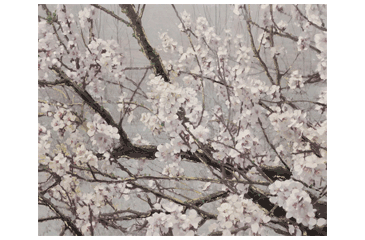 Taulut ja sisustustaulut