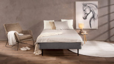 SOFIA-runkopatja SOFIA-runkopatja